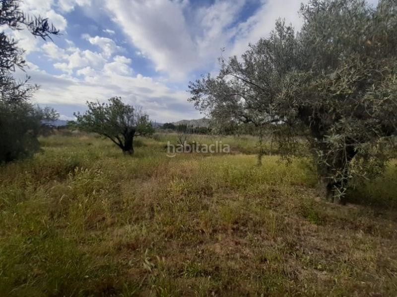 Foto be5776f1-269e-4936-a1d6-7f5b0308f3d3. Chalet  en la carretera -monovar en Campo Alto-Club de Campo Elda