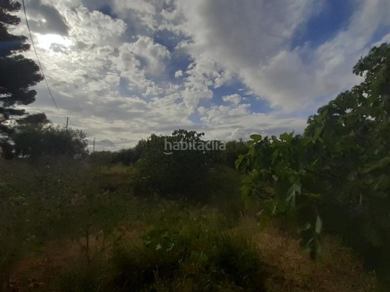 Foto c6e98920-0fcc-44f0-b80c-eb274b7d8537. Chalet  en la carretera -monovar en Campo Alto-Club de Campo Elda