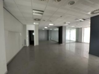 Business premise in Novelda