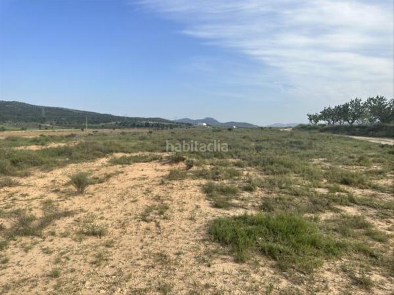 Foto 45de16b6-0782-4ba9-83b6-64594018b0e9. Fondo rustico in Salinas