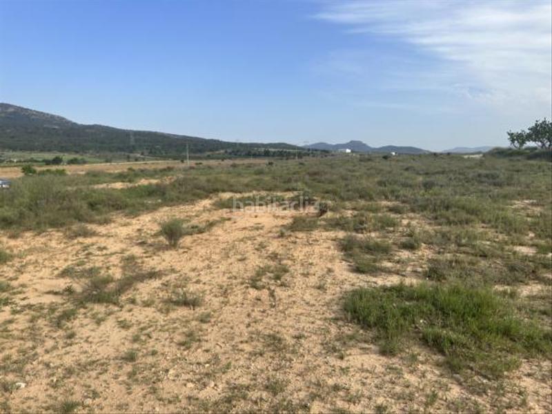 Foto 5c333ef6-ffd7-4e56-8c78-2f51af88cc20. Fondo rustico in Salinas