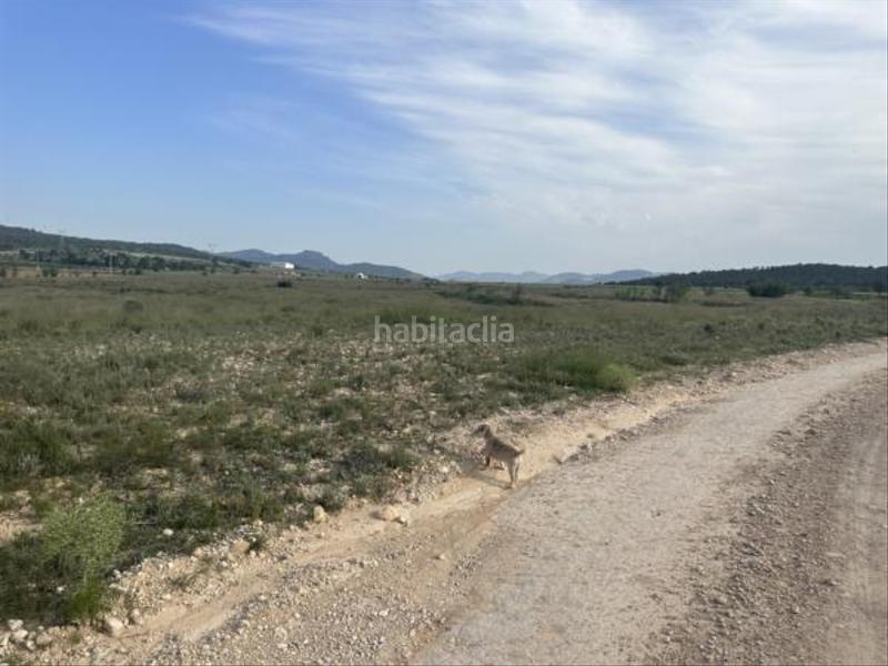 Foto 6e7143d4-9ab3-45a2-935f-edb32552d9f5. Fondo rustico in Salinas