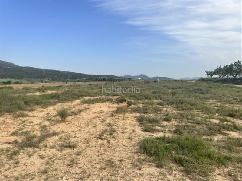 Foto 8b501dbe-549a-4415-be9f-ea1e4bfe36fb. Fondo rustico in Salinas