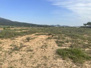 Finca rústica a Salinas. Parcela de terreno de 69000 metros