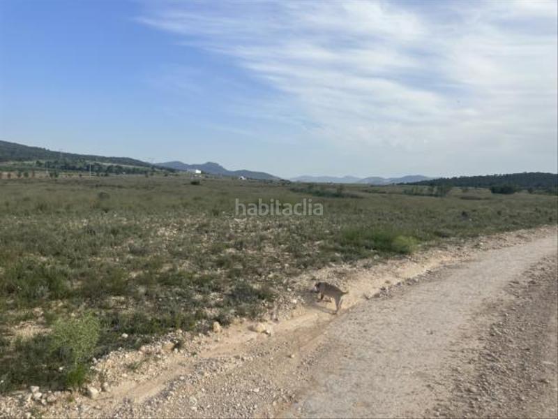 Foto bfd3d52e-4a62-404f-bc8b-0e32e1fa7e9e. Fondo rustico in Salinas