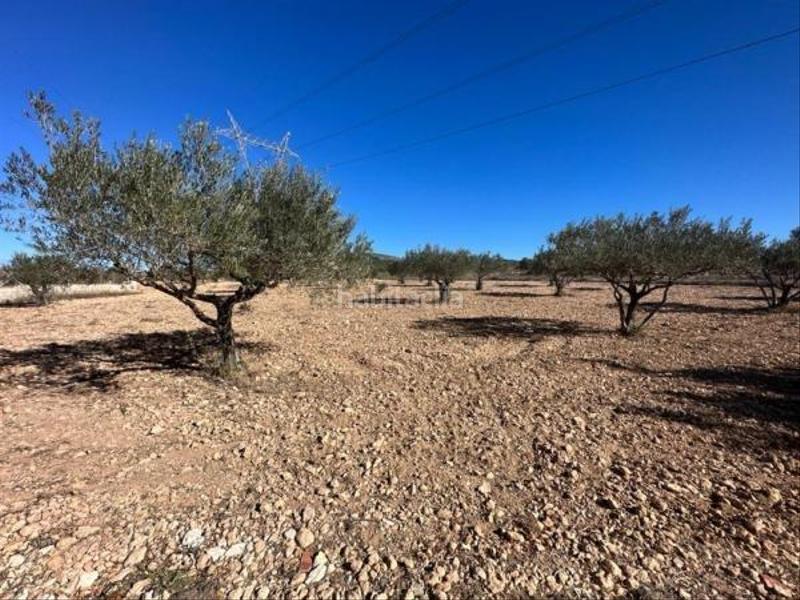 Foto c3ac9e8e-0ddd-494d-967d-9ce9d602f361. Chalet campo independiente en la zona del toscar de monóvar en Monòver