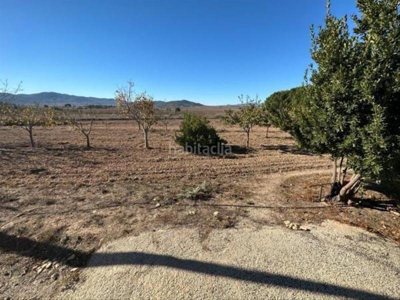Foto f9d8dd9c-91c8-48e3-94d7-a264e28f90b7. Chalet campo independiente en la zona del toscar de monóvar en Monòver