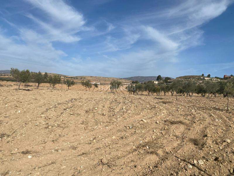 Foto 59815344-8bc5-45b6-8074-0964df3df2e8. Capannone industriale in Pinoso