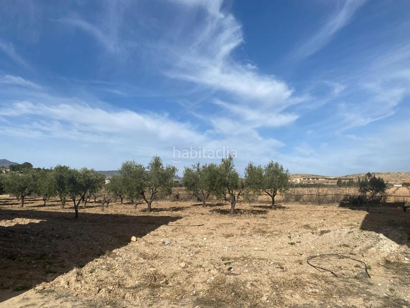 Foto e9865803-bb56-4981-950b-bd7a811aee80. Capannone industriale in Pinoso