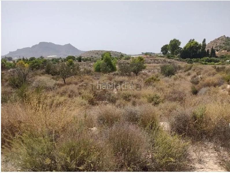 Foto 84e3e535-17d3-43de-96ca-f37bc6db70bf. Terreny residencial a Agost