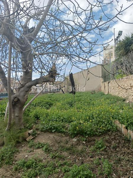 Foto 1d3d580b-d226-47fb-81cf-2f5898b6d1c4. Casa gran casa con inmenso jardín. en El Castillo Aspe