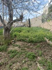 Casa a El Castillo. Gran casa en aspe con inmenso jardín.