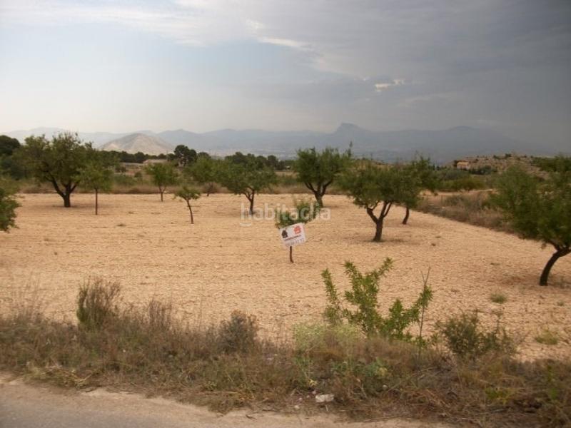 Foto 2214f4ec-9e4a-4b7a-ac52-3a3d56202974. Finca rústica a Monòver