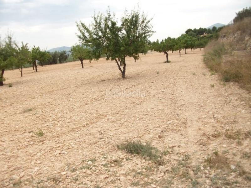 Foto be633e0d-8a60-44e8-97b9-9968f336ae54. Finca rústica a Monòver