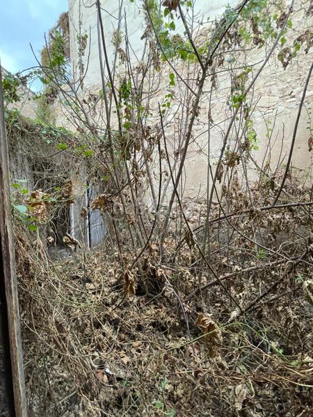 Foto b2120825-d645-4251-8949-2f698372be9a. Casa  de planta baja para reformar en Novelda