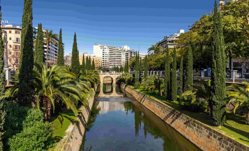 Foto 5a842a18-5aa5-424b-b453-0ccf5bf1df8e. Apartament amb calefacció aparcament a Cort Palma de Mallorca