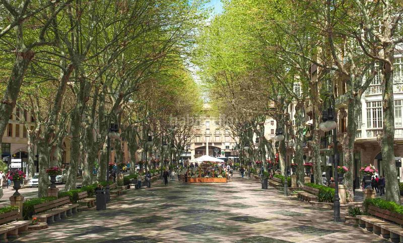 Foto b7437e72-a311-4fd6-9913-ee1ac721d158. Apartamento en Cort Palma de Mallorca