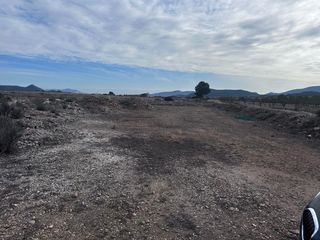 Fondo rustico in Pinoso. Parcela de terreno en ubeda pinoso
