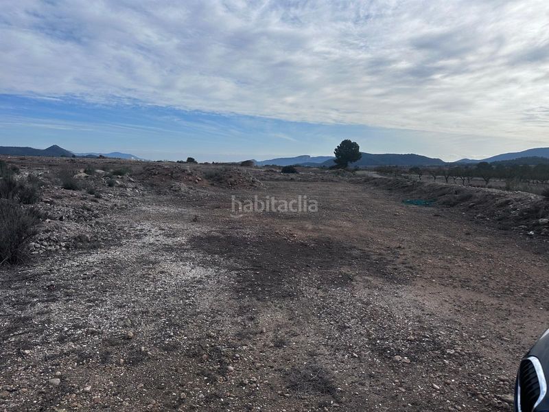 Foto 7d8529b1-5d95-4233-ab8b-40c297cbf5b6. Finca rústica a Pinoso
