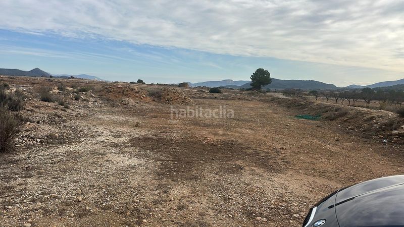 Foto f2382500-ac21-4a50-a67c-31963638844d. Finca rústica a Pinoso