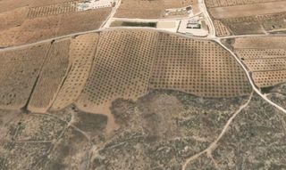 Residential Plot in Pinoso