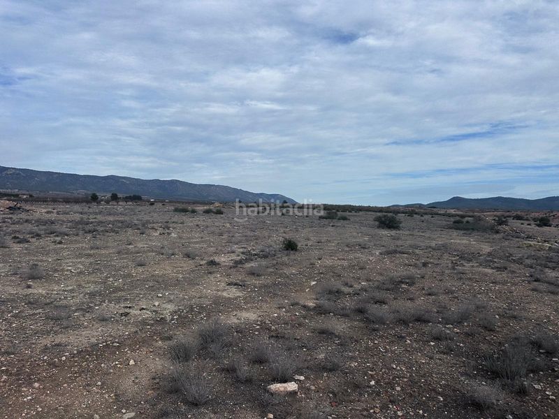 Foto 0b59afed-1bf7-46c9-a9ec-673ad91a4218. Finca rústica a Pinoso