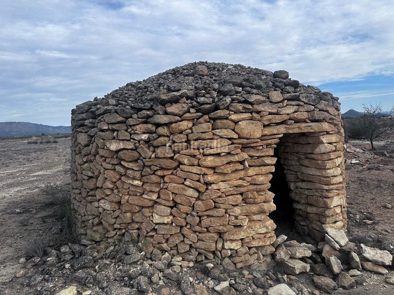 Foto 4f644497-6b74-4865-9ad4-1da173db19a3. Finca rústica a Pinoso