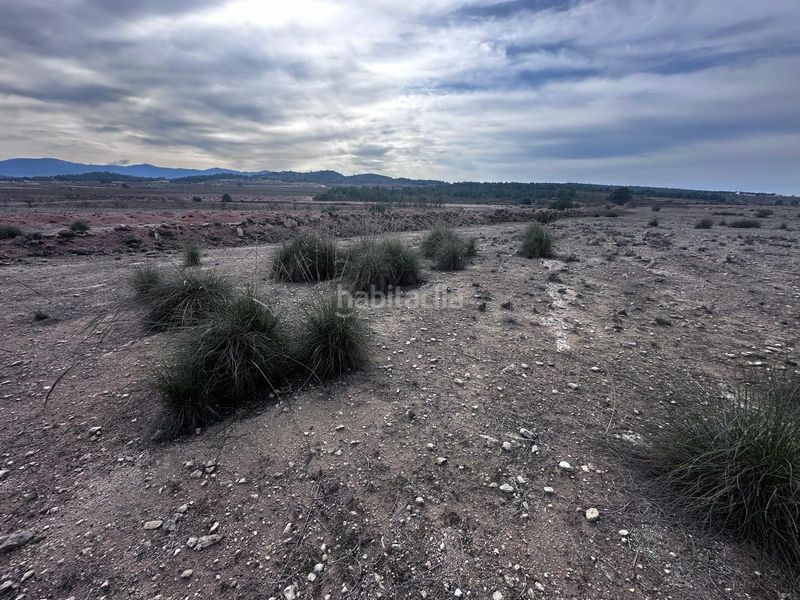 Foto 6e518a68-fe9a-4502-94e4-5c8de32a97e7. Finca rústica a Pinoso