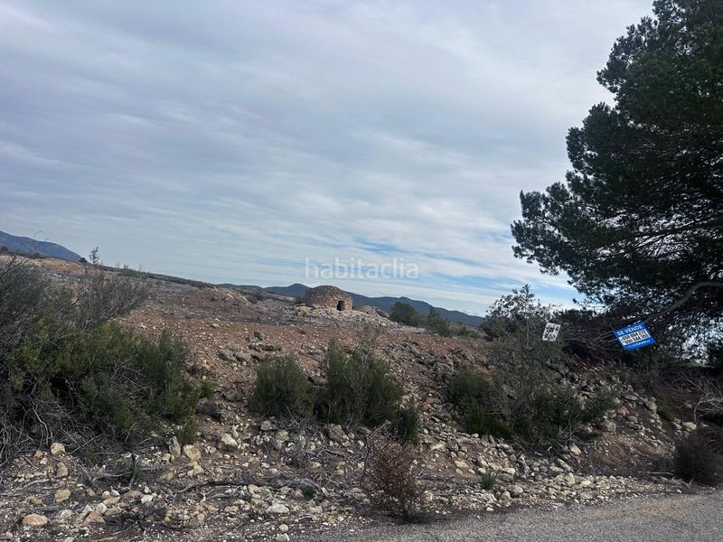 Foto 6ea14d06-9306-46ce-8f32-b30cd0044f3b. Finca rústica a Pinoso