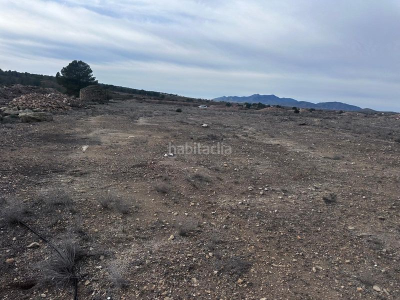 Foto 7fee0c23-3ce1-41f8-845b-9853b263aaf6. Finca rústica a Pinoso