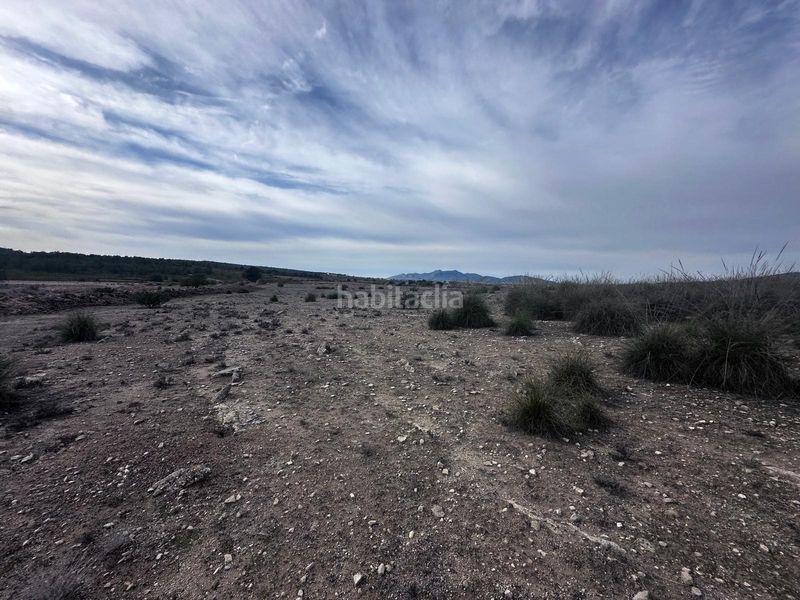 Foto 81c5beb0-84d8-4ec9-b4dd-1b13529c3093. Finca rústica a Pinoso