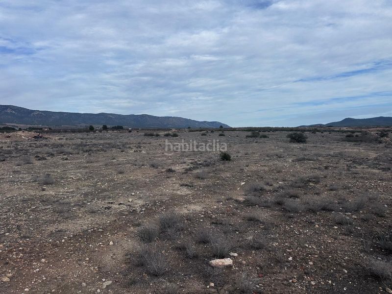 Foto a6763e36-2dbb-4afc-aee4-e2346959ae61. Finca rústica a Pinoso