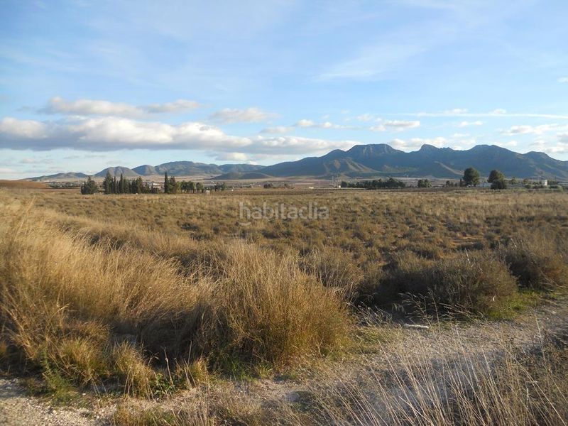 Foto d89da04a-4e39-4079-b9b0-33169232c9a7. Terreny residencial a Jumilla