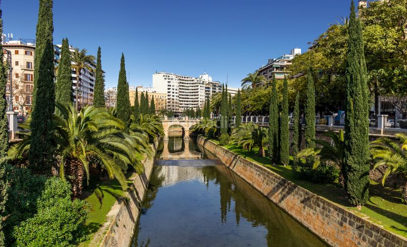 Foto 05bfba9f-44ff-4c74-b635-60cb0b7c1bfc. Apartament amb aparcament a Cort Palma de Mallorca