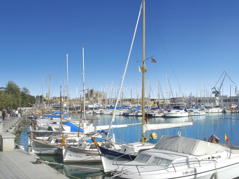 Foto 3bff6ba0-c858-4379-98df-27997ef5fb9e. Apartament amb aparcament a Cort Palma de Mallorca