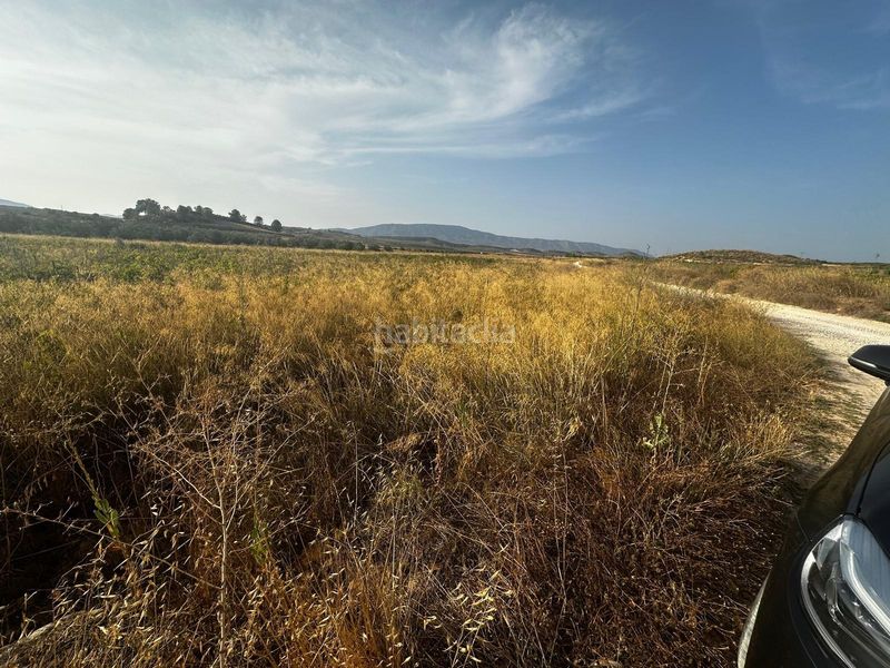 Foto 8d902137-0c8d-4dfd-86ff-a8b64f15c54d. Terreny residencial a Pinoso