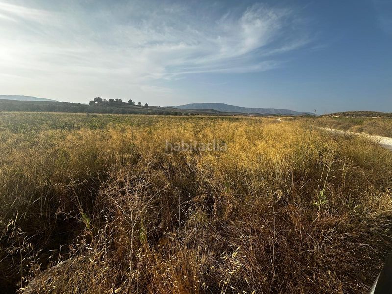 Foto ba44101e-cfb4-42e2-860f-998f2b054986. Terreny residencial a Pinoso