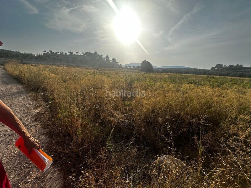 Foto bf521950-a895-44c1-b24d-05691f83839d. Terreny residencial a Pinoso