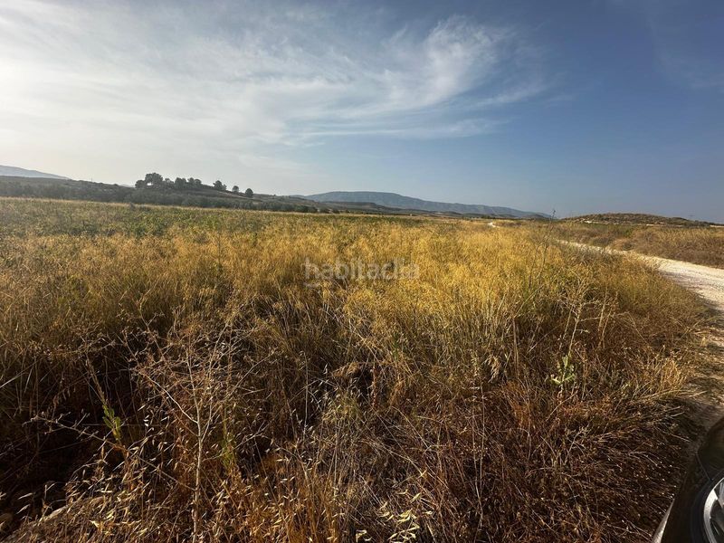 Foto dfb5fce4-20ae-4169-b05c-0f81fd6a8a0c. Terreny residencial a Pinoso