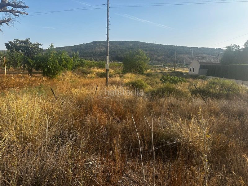 Foto 1461e70e-4857-4f2f-bf13-57e50fece720. Terreny residencial a Pinoso