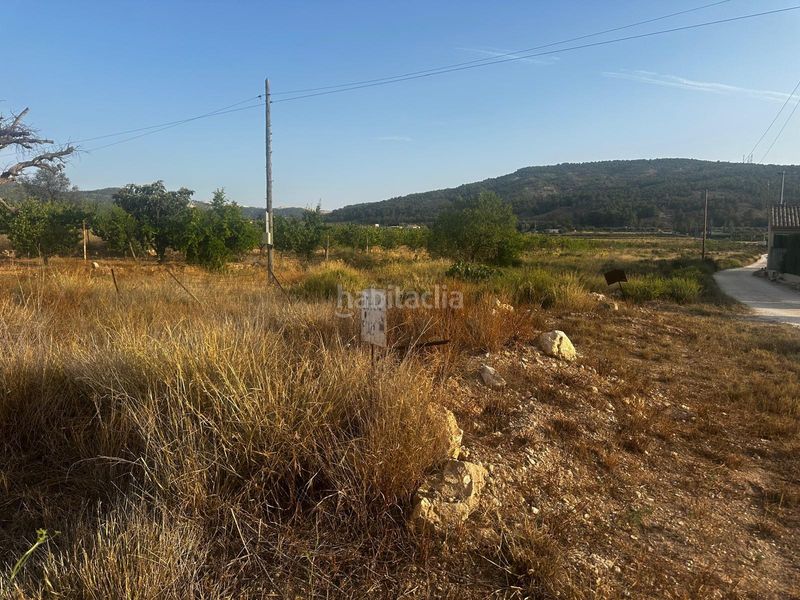 Foto 60d97e5d-59e8-42ae-8c28-82f72c293ddc. Terreny residencial a Pinoso