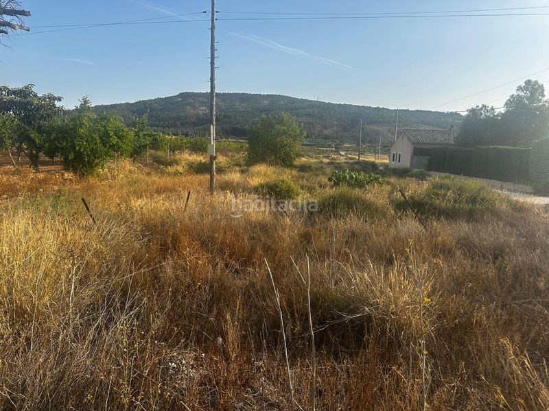 Foto cbc1fac8-f096-4544-b378-c5381694e6c6. Terreny residencial a Pinoso