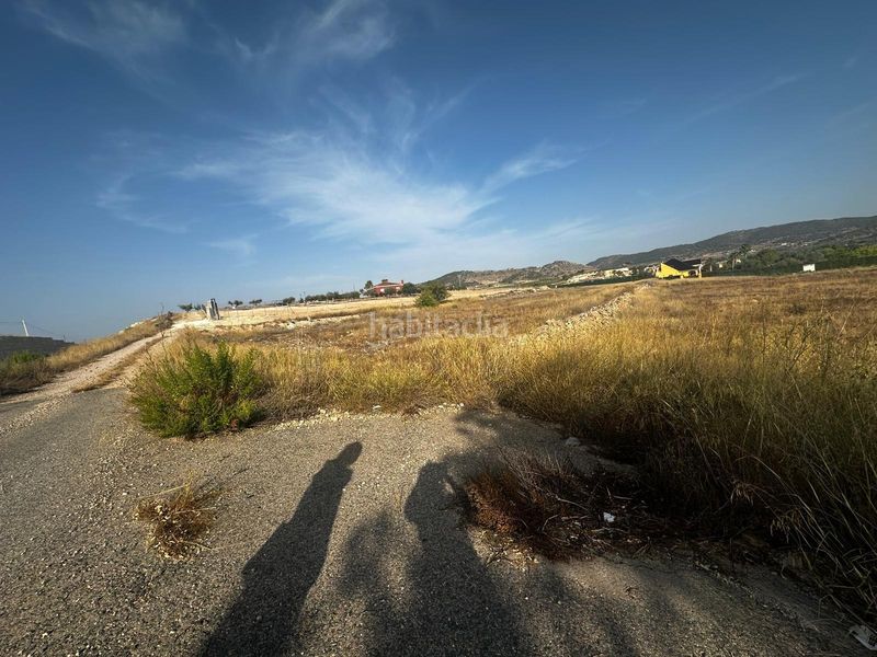 Foto 29c16822-77c8-4848-80db-c21ec6a09b14. Terreny residencial a Pinoso