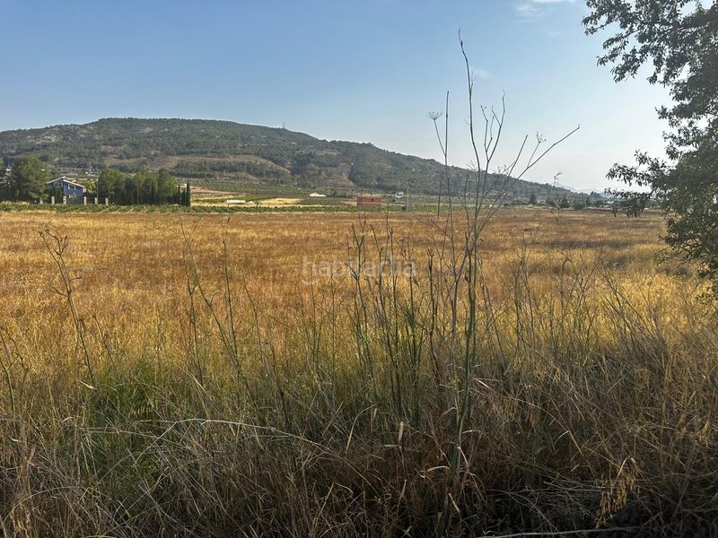 Foto 3c67c88c-029e-4793-a44f-2d9c453a93ba. Terreny residencial a Pinoso