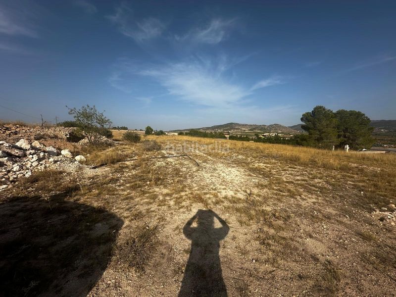 Foto 7542650c-8654-4adf-94a6-c29965e68336. Terreny residencial a Pinoso