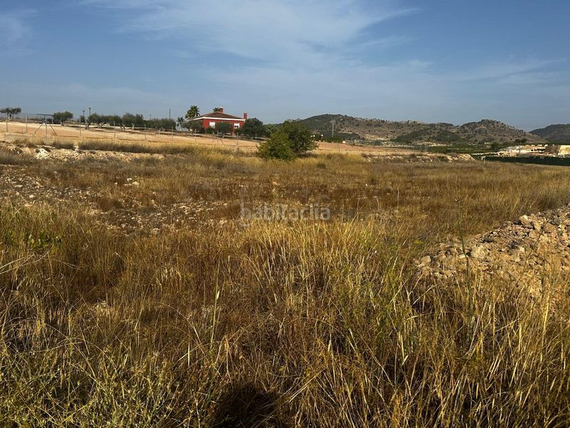 Foto a7a04b1d-c45d-4d4a-b72d-b6107085b86c. Terreny residencial a Pinoso