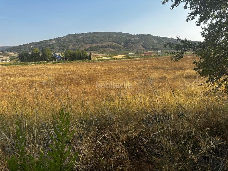 Foto aa2ca418-7d73-40ed-b010-ea262a2c7ea7. Terreny residencial a Pinoso
