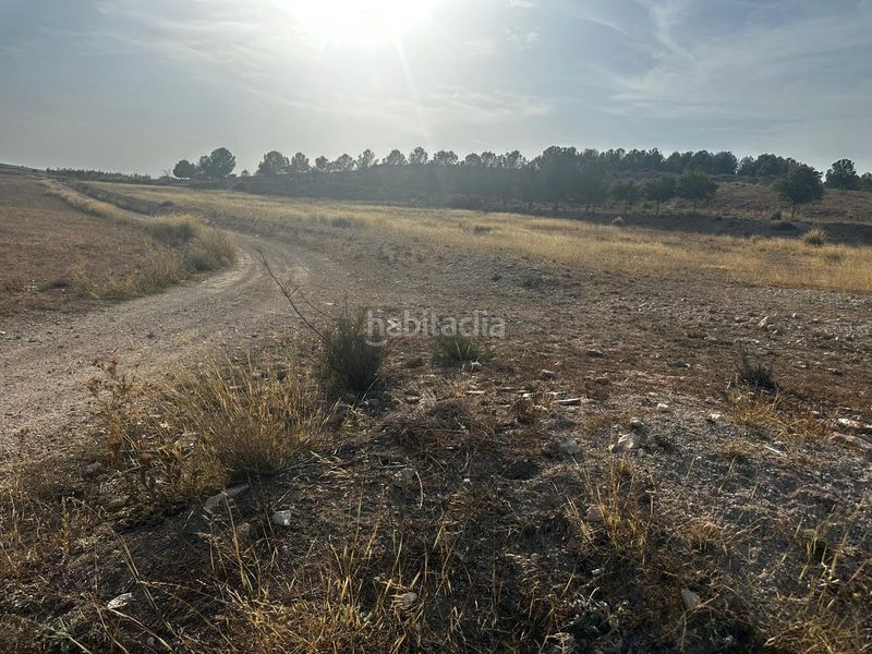 Foto b1a45d21-db63-42ff-8986-a0bcda677d17. Terreny residencial a Pinoso