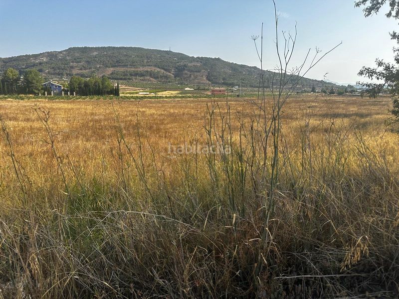Foto b5406fa4-00ab-497e-9814-2106736ddeee. Terreny residencial a Pinoso