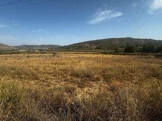 Wohngrundstück in Pinoso. Se vende terreno ideal para tu proyecto soñado!